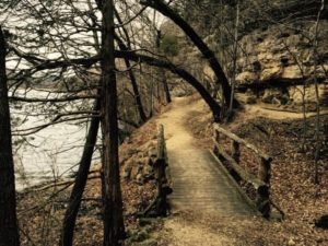 Miles of beautiful trails