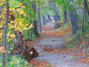 This is a park you will want to visit over and over again