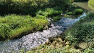 Beautiful stream running right down the center of the park