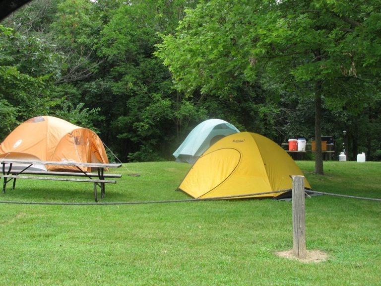 Summer Fun at Seven Oaks Recreation - Mainstream Adventures