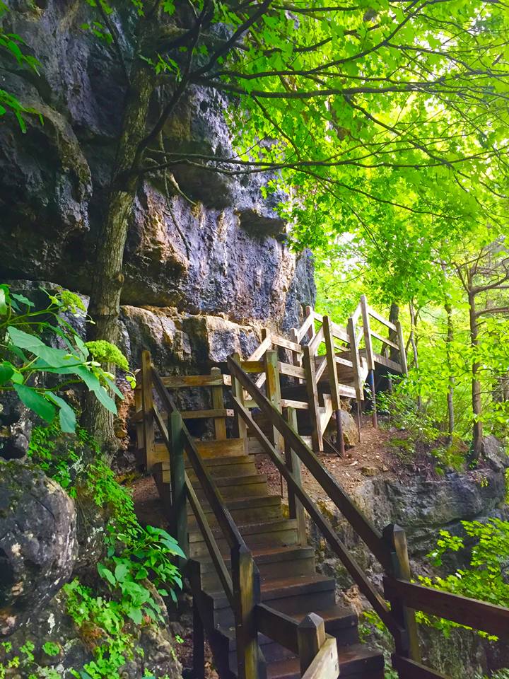 Ha Ha Tonka State Park