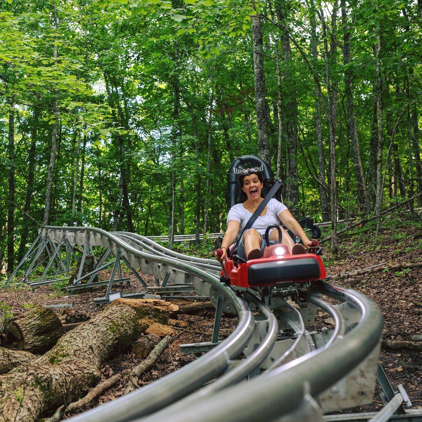 The Only Alpine Coaster In Illinois Is Now Open Here Are The