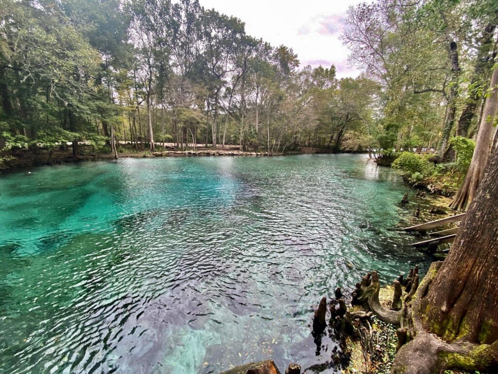 This Gorgeous Natural Spring Park Is A Great Alternative To Florida's ...