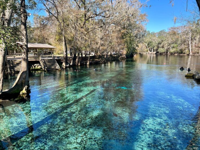 This Gorgeous Natural Spring Park Is A Great Alternative To Florida's ...