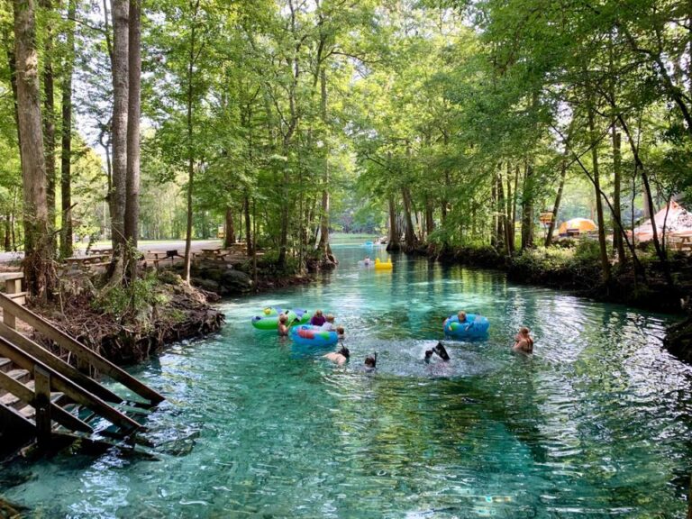 This Gorgeous Natural Spring Park Is A Great Alternative To Florida's ...