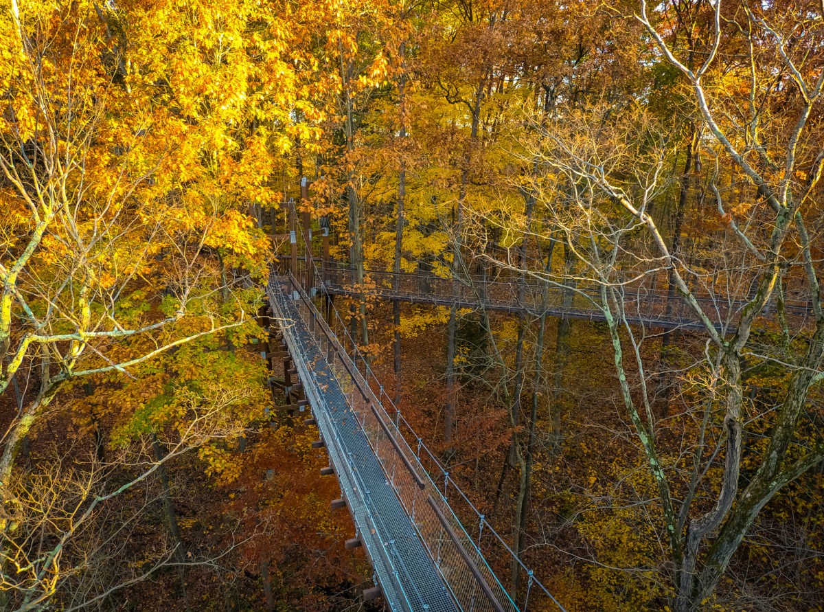 canopy tour holden arboretum