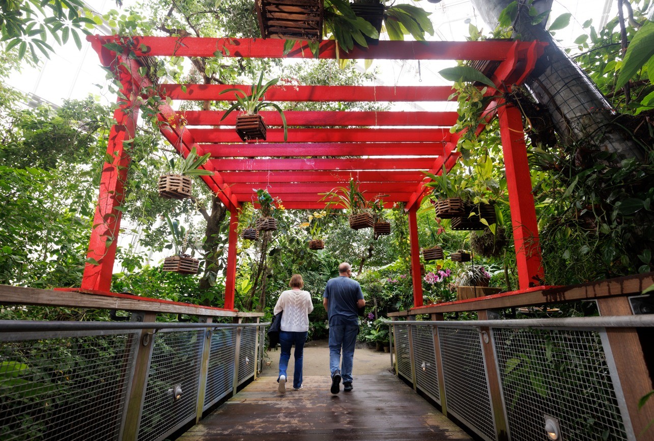 canopy tour holden arboretum