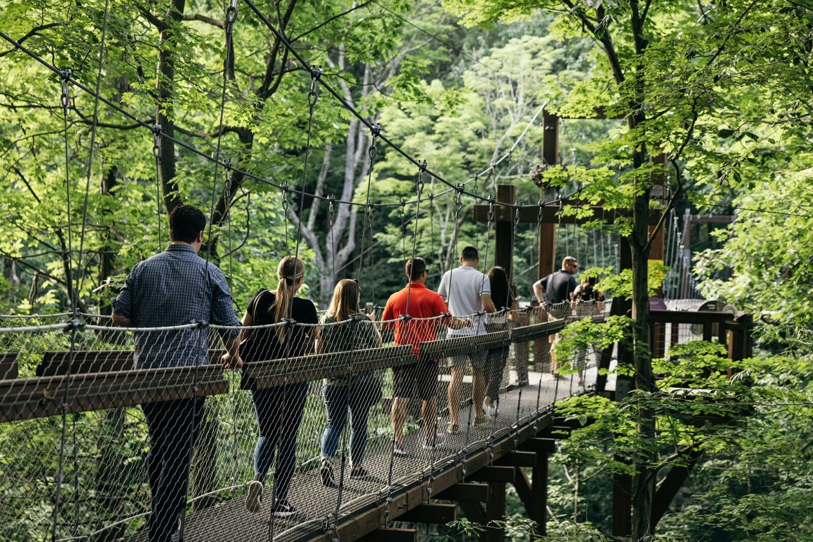 canopy tour holden arboretum