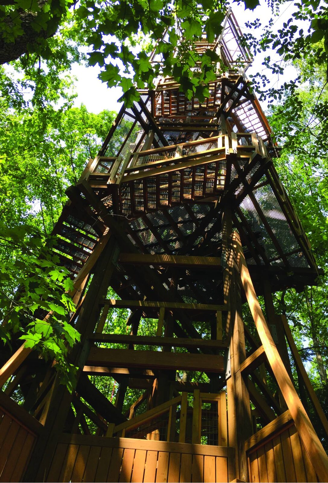 canopy tour holden arboretum