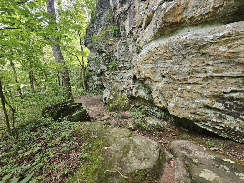 The Trillium Trail In Illinois Is A Perfect Place To Embark On ...