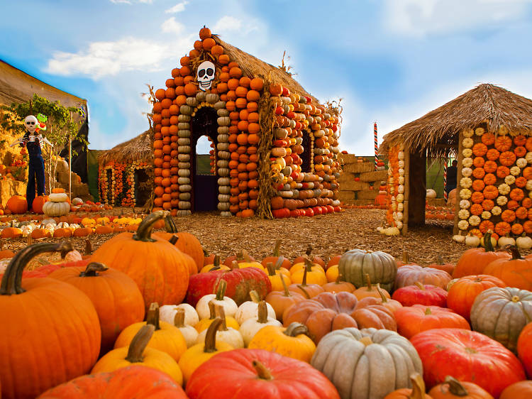 10 Midwest Pumpkin Patches You Need To Visit This Fall Mainstream Adventures 8664