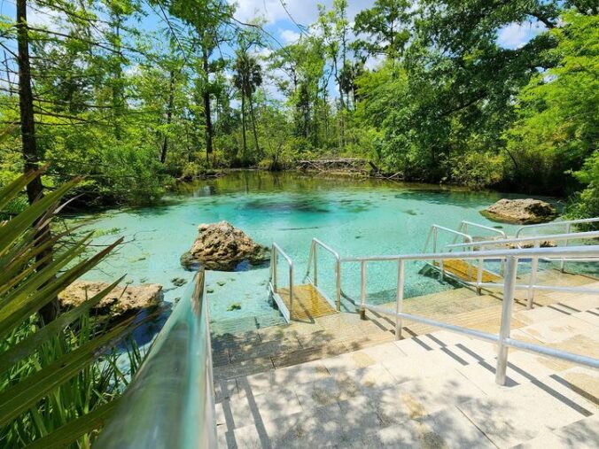 The Newly Updated Williford Spring In Florida Is A Must See Destination ...