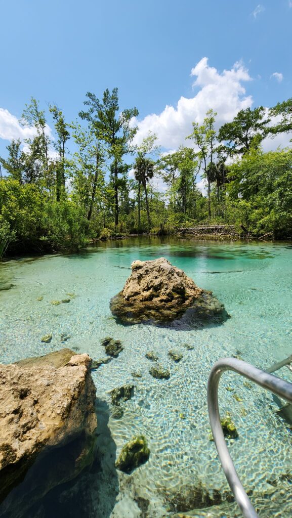 The Newly Updated Williford Spring In Florida Is A Must See Destination ...