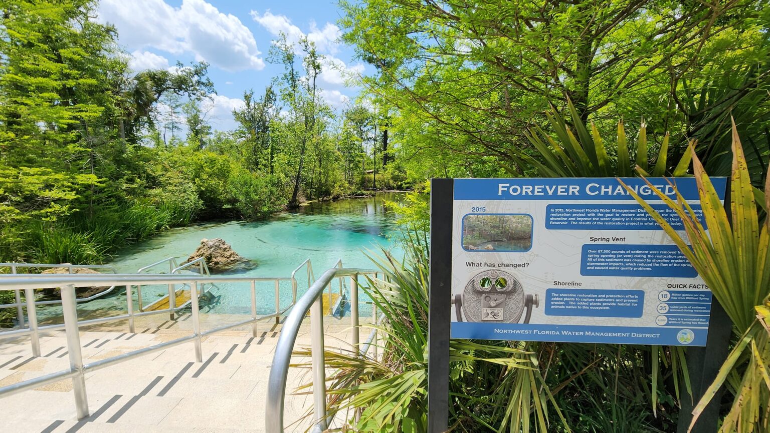 The Newly Updated Williford Spring In Florida Is A Must See Destination ...